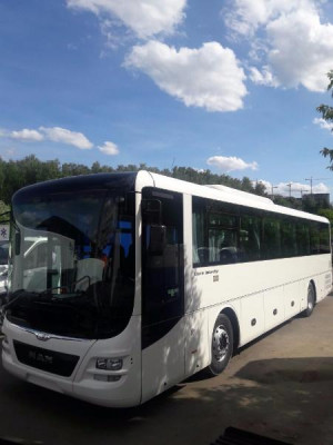 MAN Lions Intercity 55мест Белый